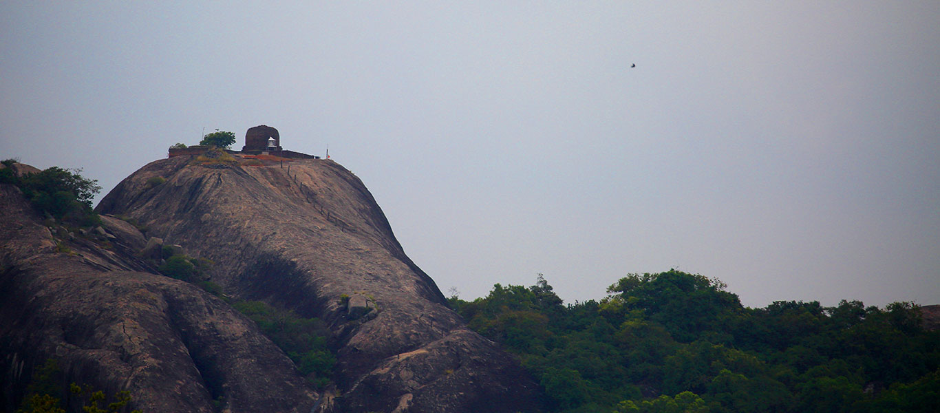 Wildlife Tours in Kumana