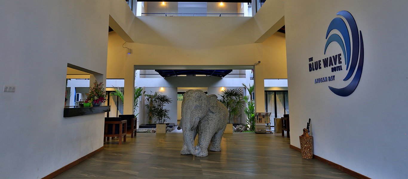 Wildlife Tours in Kumana